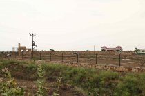 Magnanimous Greenz 2